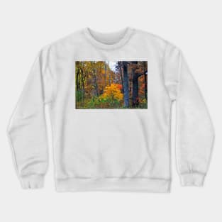 Woodland Tapistry Crewneck Sweatshirt